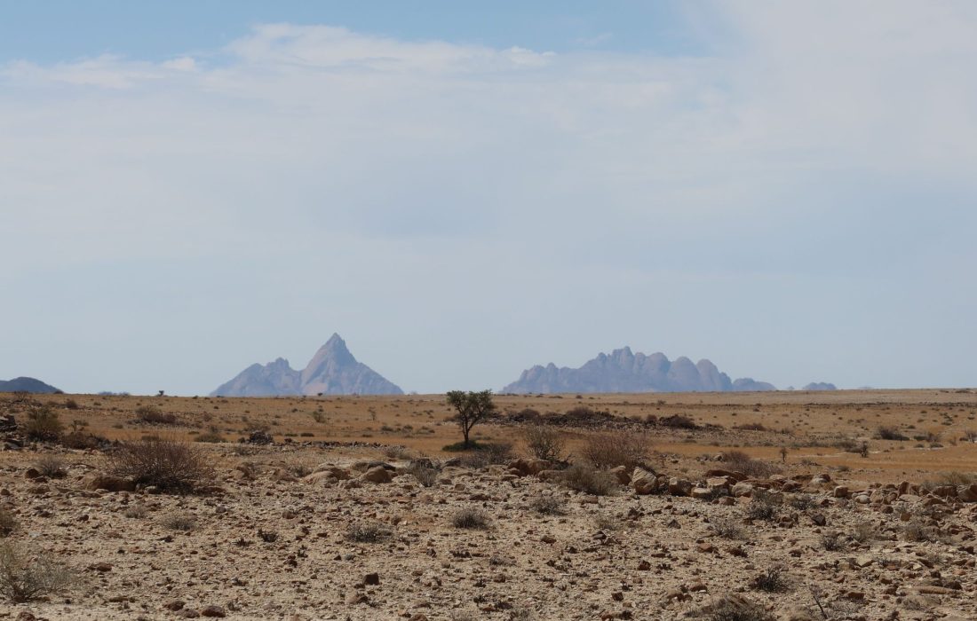 01_IMG_0789_1