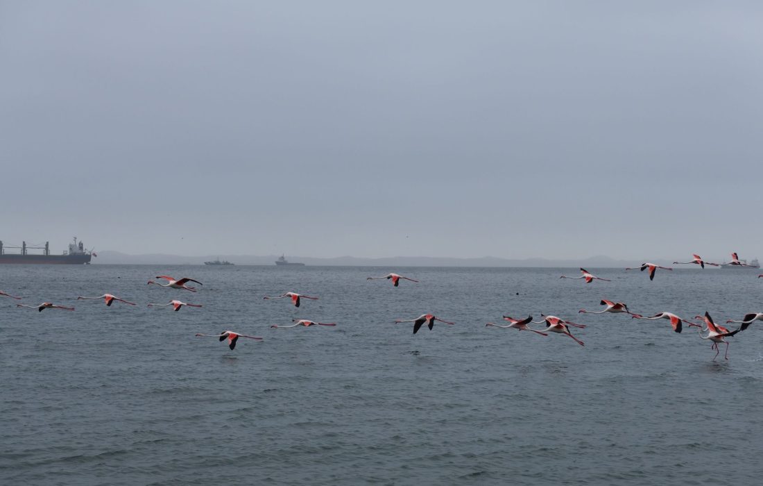 02_IMG_0756_2