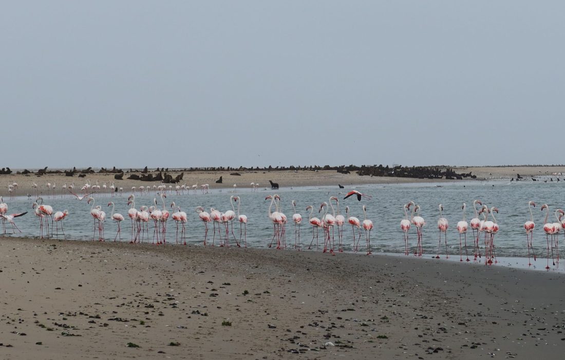 03_IMG_0758_3