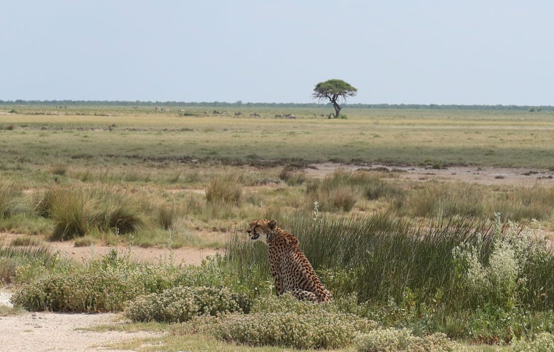 03_IMG_1041_3