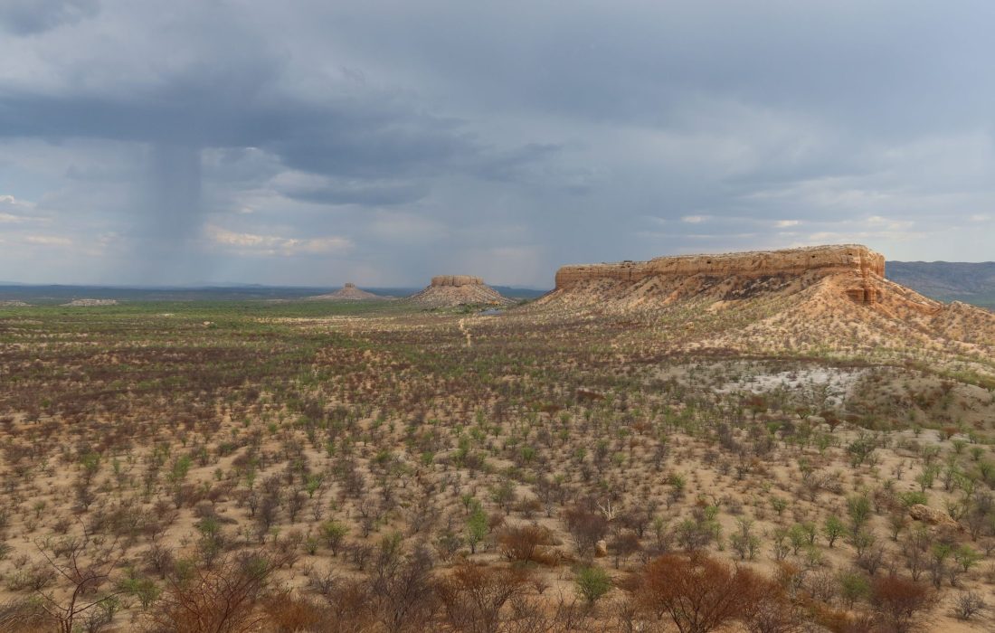 04_IMG_0811_4
