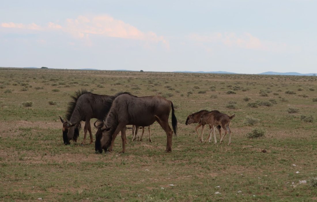 06_IMG_0967_6
