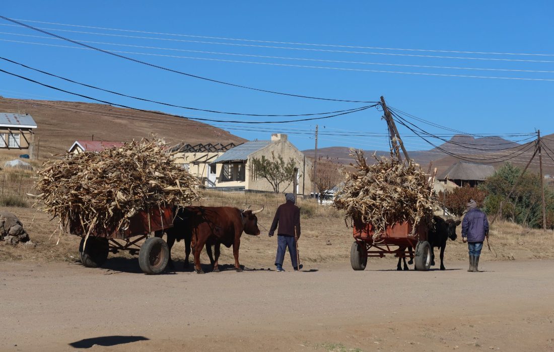 06_IMG_3239_2